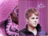 Justin Bieber Fleece Throw Blanket  50x60 - Puprle Dots