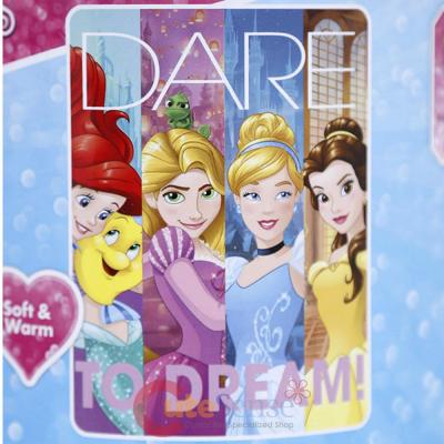 Disney Princess Plush Microfiber Throw Blanket Twin - Dreamers