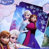 Disney Frozen Elsa Anna Raschel Plush Blanket Twin 59" x 78" Frozen Mountain