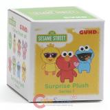 Sesame Street Blind Box