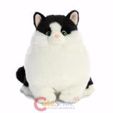 Fat Cats Muffins Tuxedo