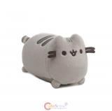 Pusheen Screen Cleaner