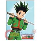 Hunter X Hunter Magnet Gon