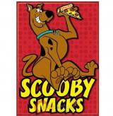 Scooby Doo Rec Magnet Snacks