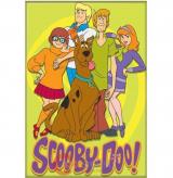 Scooby Doo Rec Magnet Group