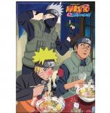 Naruto Rec Magnet Group